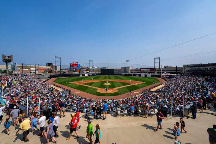 The Chicago Dogs Offer a Bright Spot in Chicago Baseball